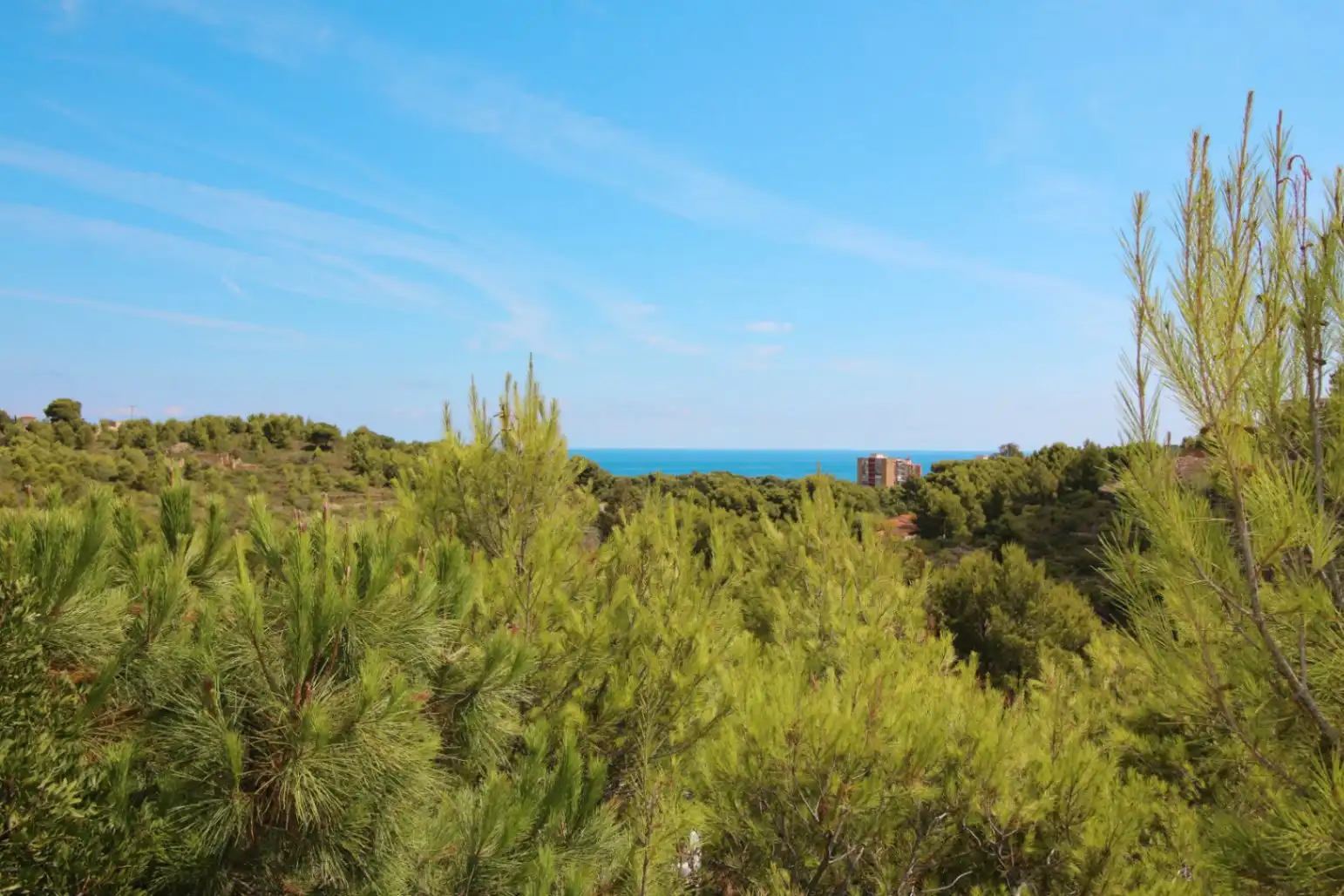 Villa avec piscine à vendre à El Montgó, imagen 13