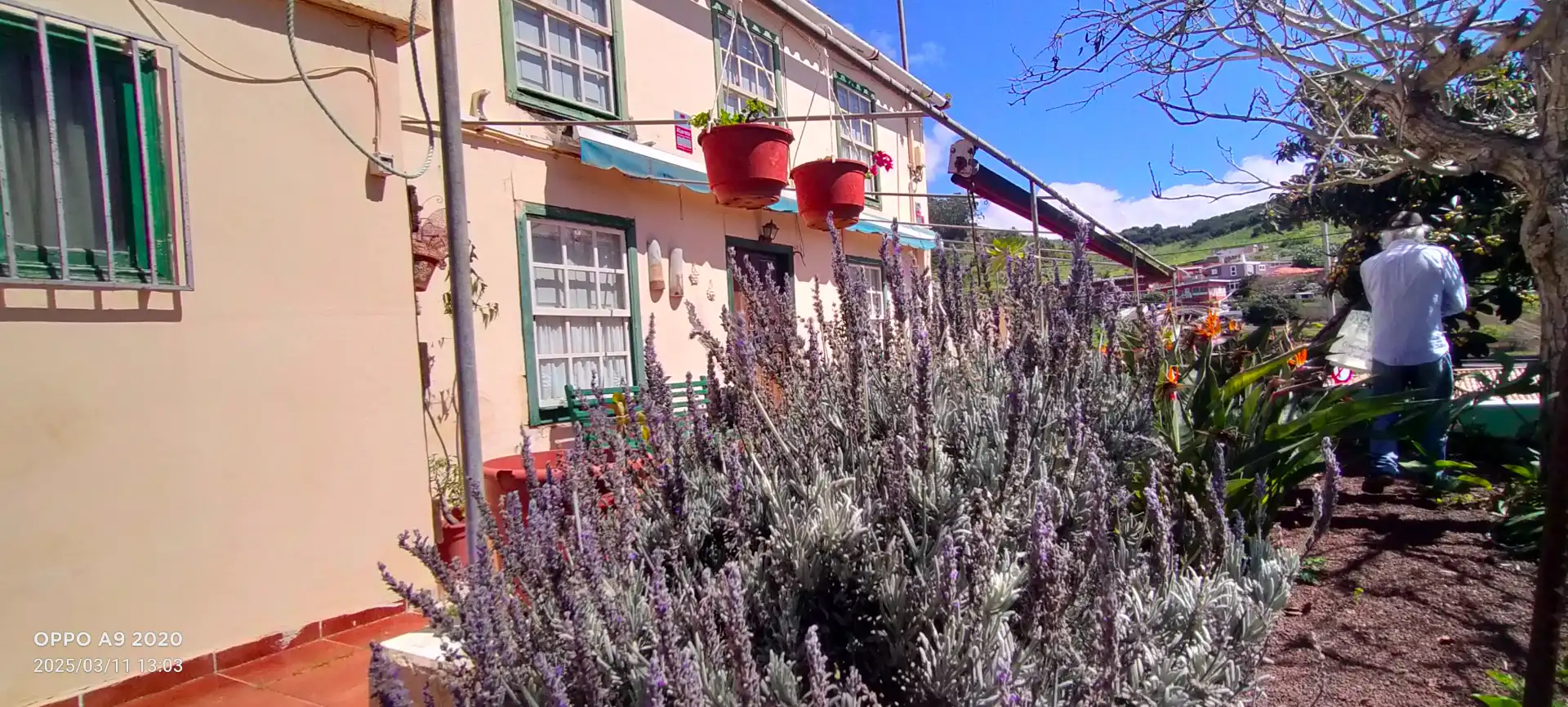 Vista exterior de Finca rústica en venda en San Cristóbal de la Laguna amb Jardí privat, Parquet i Terrassa