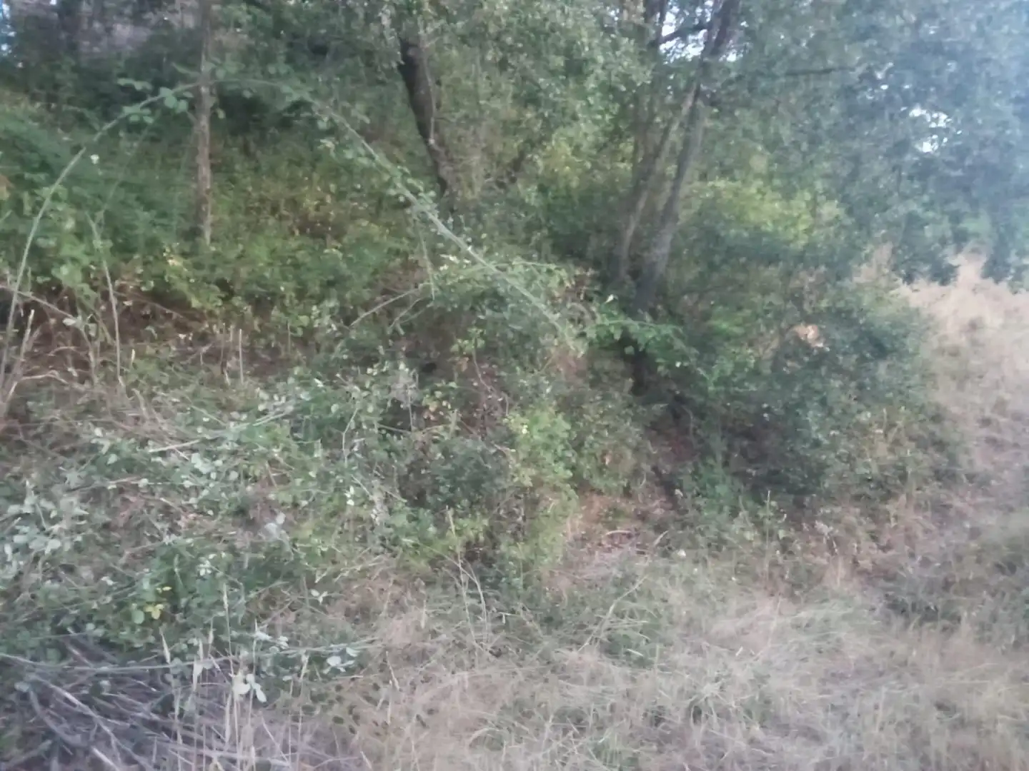 Residential land for sale in Valdenuño Fernández, imagen 11