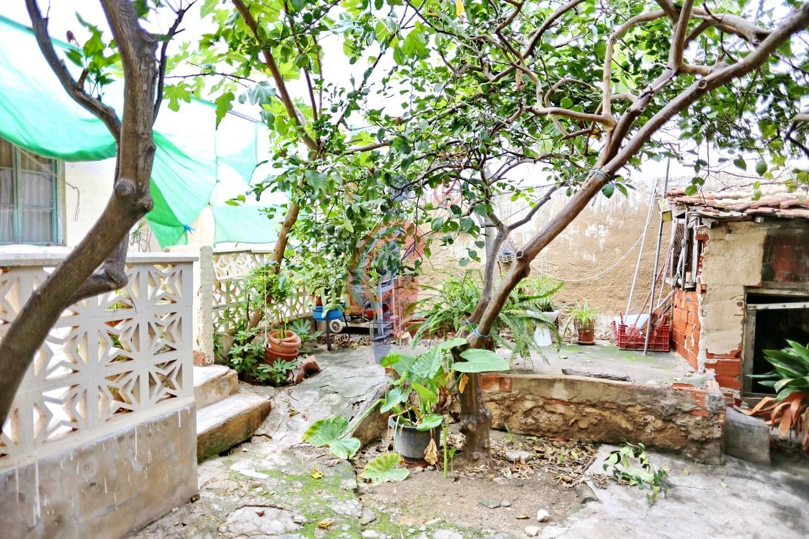 Terraza de Casa o chalet en venta en Guardamar del Segura con Jardín privado