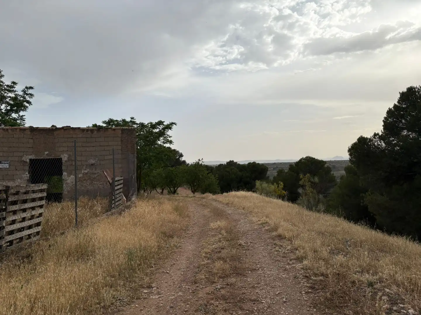 Terreno rústico en venta en Cortes de Baza, imagen 4