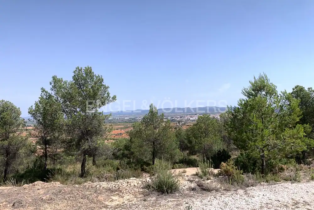 Lands and plots for sale in Requena, imagen 14