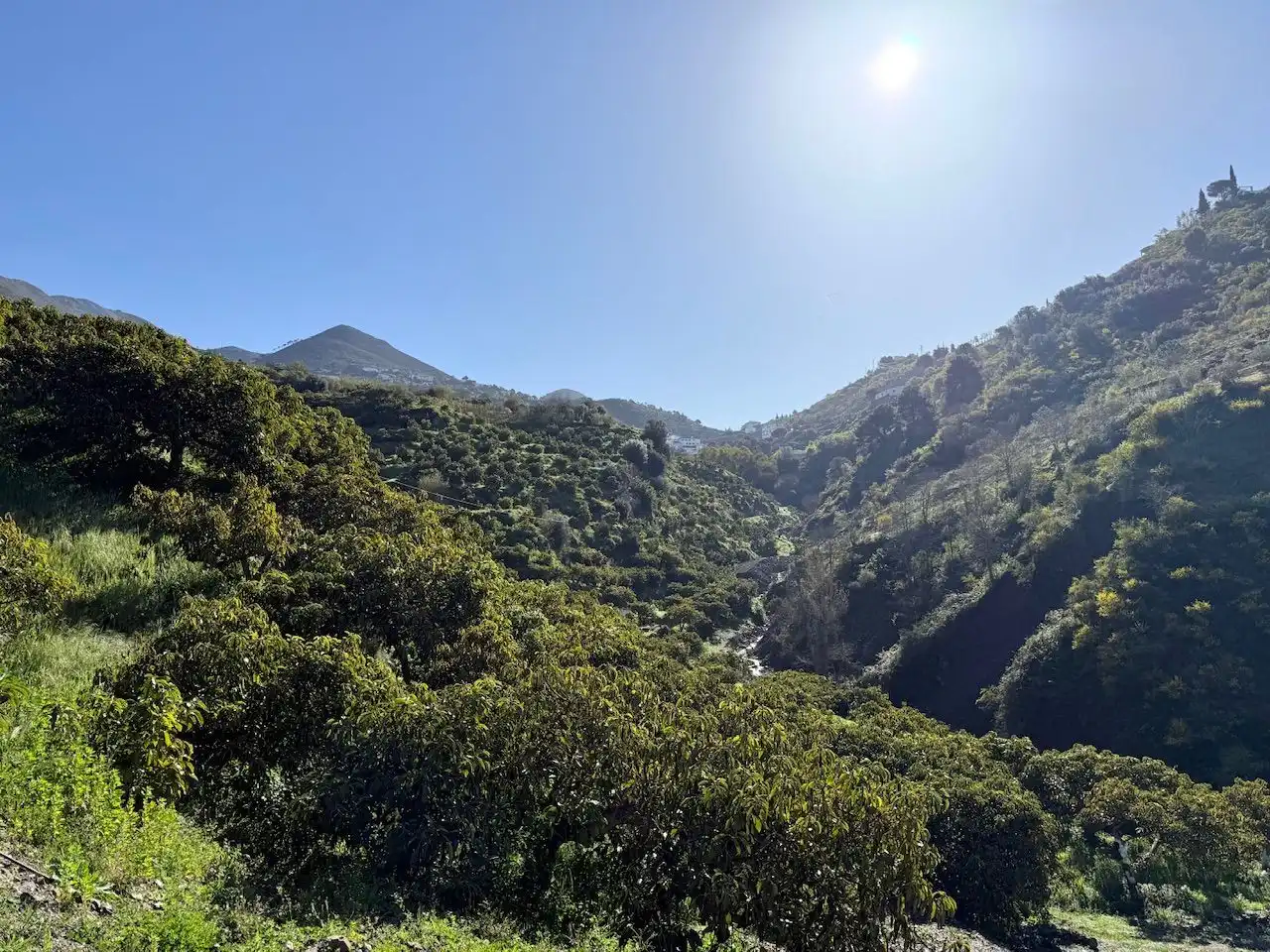 Exterior view of Land for sale in Canillas de Albaida