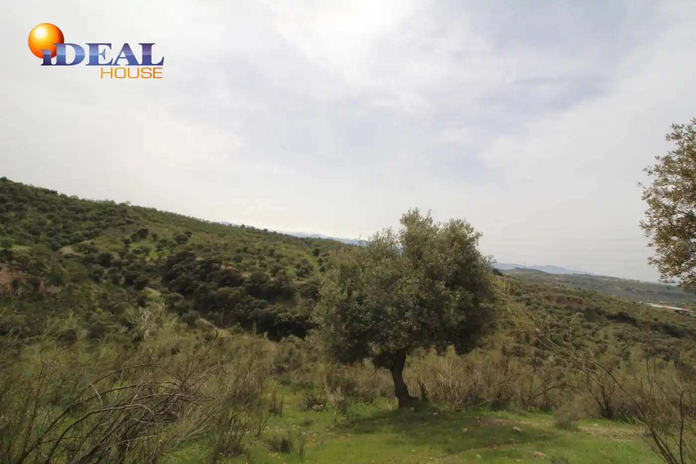 Country homes for sale in Víznar