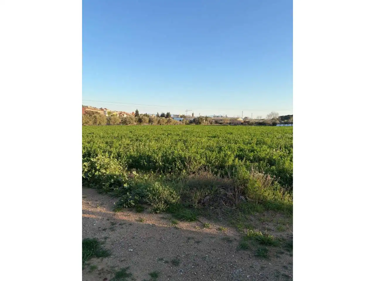 Land for sale in Caldes de Montbui