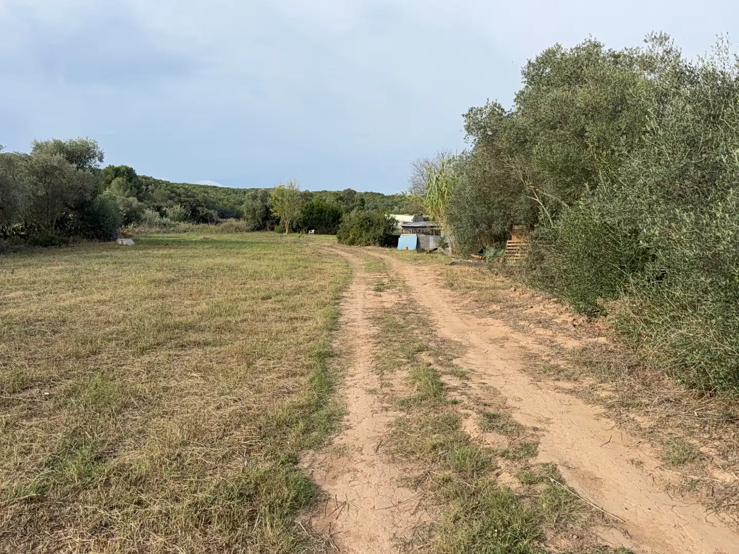 Rustikales Grundstück zum Verkauf in Carrer Major, imagen 16