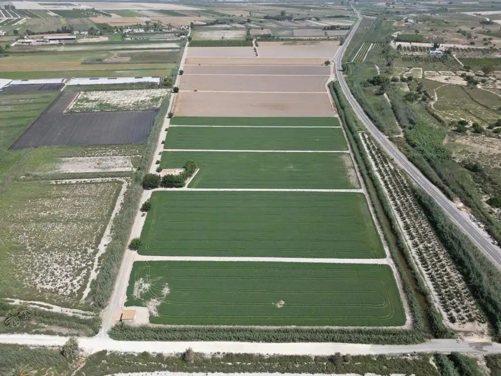 Country house zum Verkauf in Elche / Elx