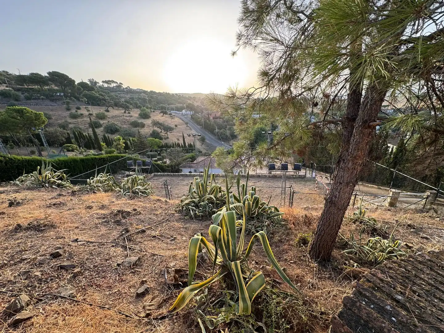 Casa o xalet en venda a Alcolea