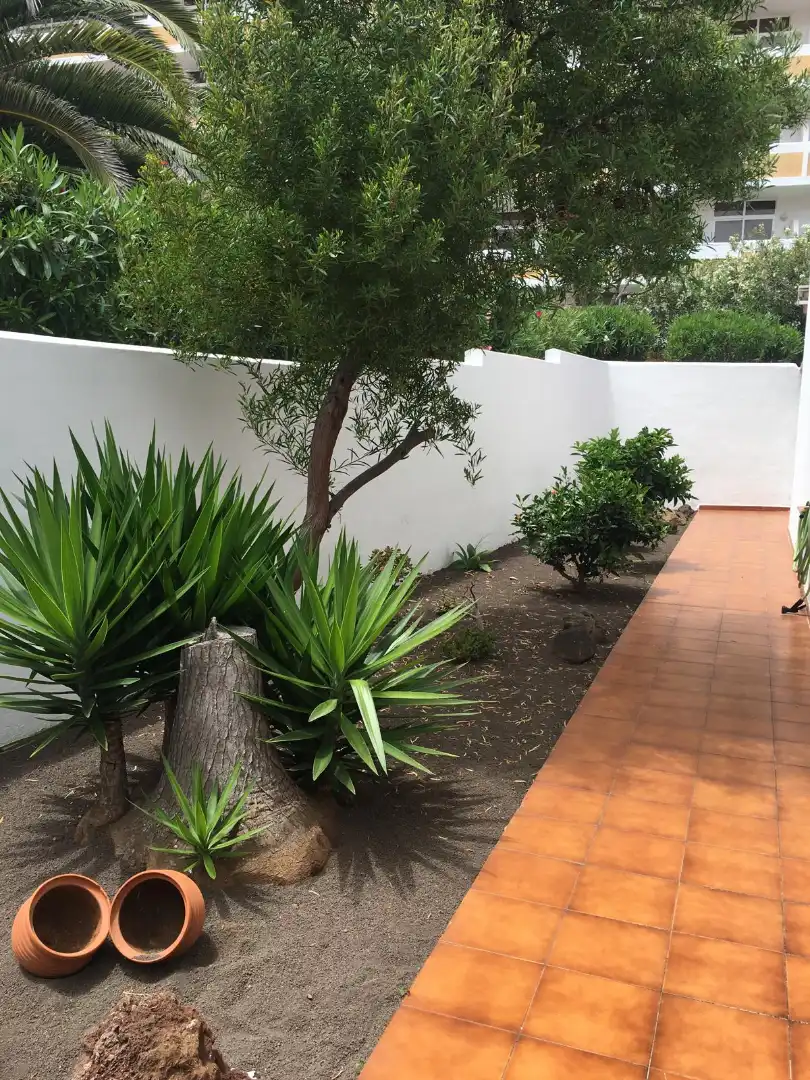 Garden of Flat for rent in Santa Cruz de Tenerife  with Terrace, Furnished and Oven