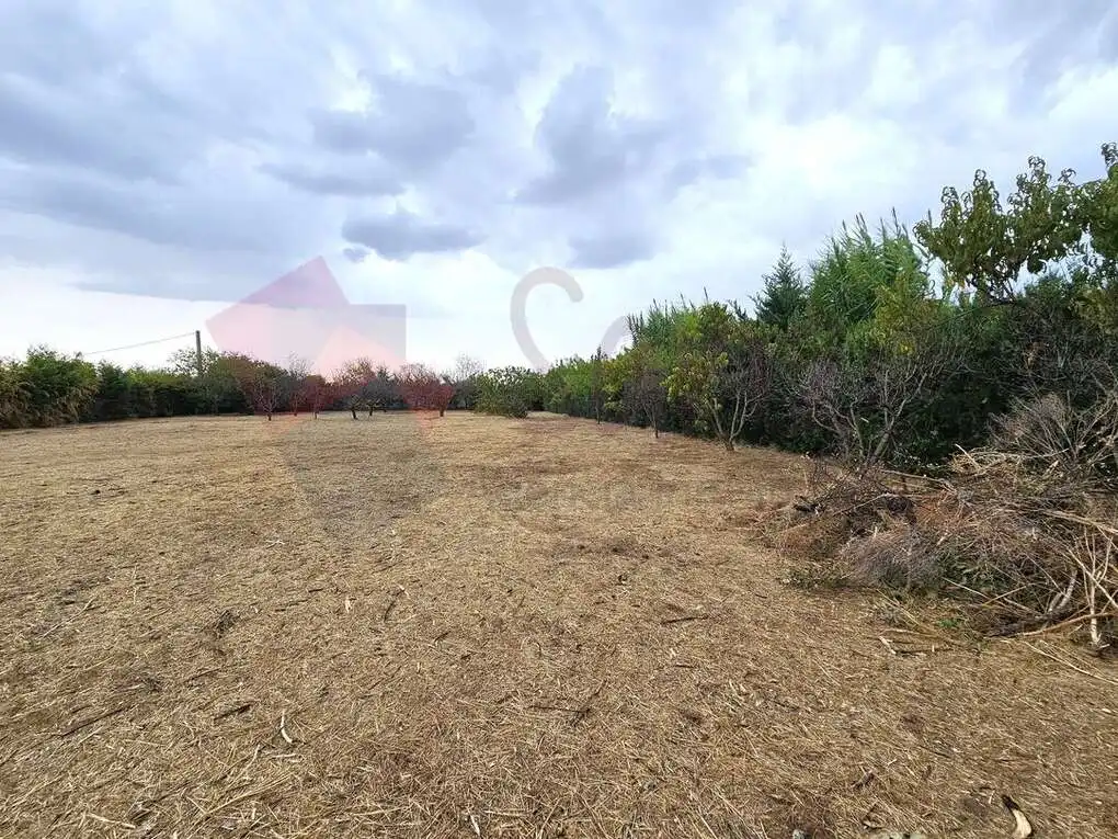 Terrain rustique à vendre à LR-344, imagen 4