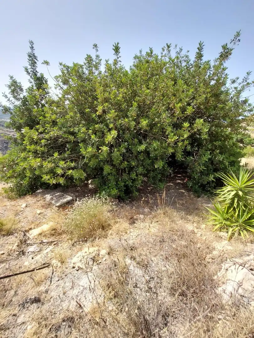 Casa rústica con piscina en venta en Los Guájares, imagen 31