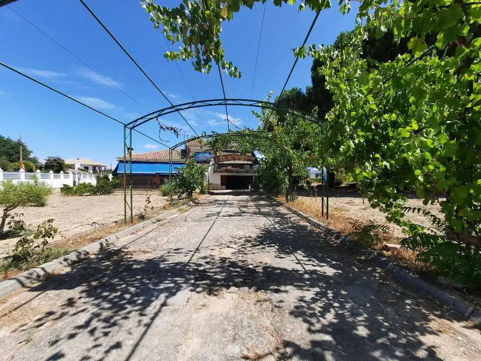 Villa con terrazza in vendita a Escalona, imagen 49