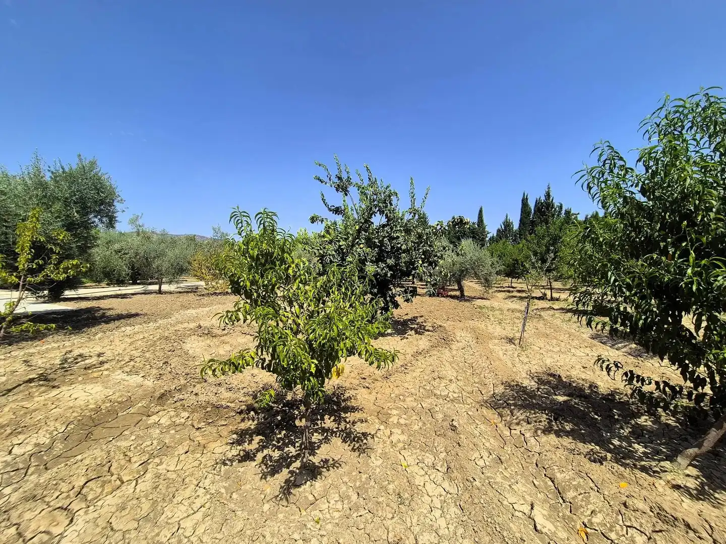Rural land for sale in Huétor Tájar, imagen 15
