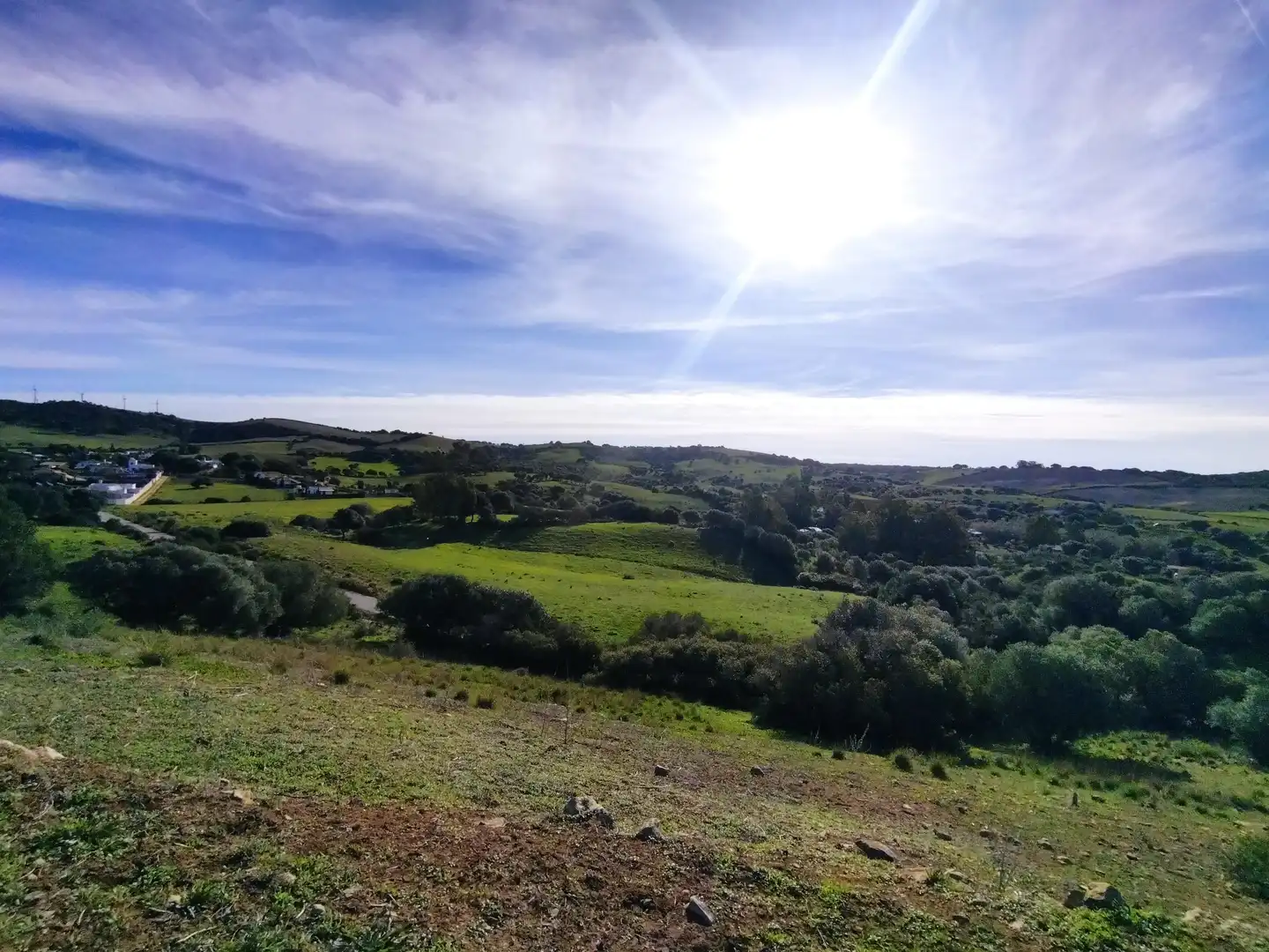 Terreno rustico in vendita a Carretera Arroyo San Ambrosio 385, imagen 12