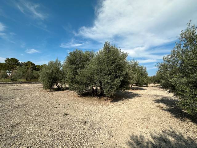 Terreno en Venta en Ronda de Mirasierra en Úbeda