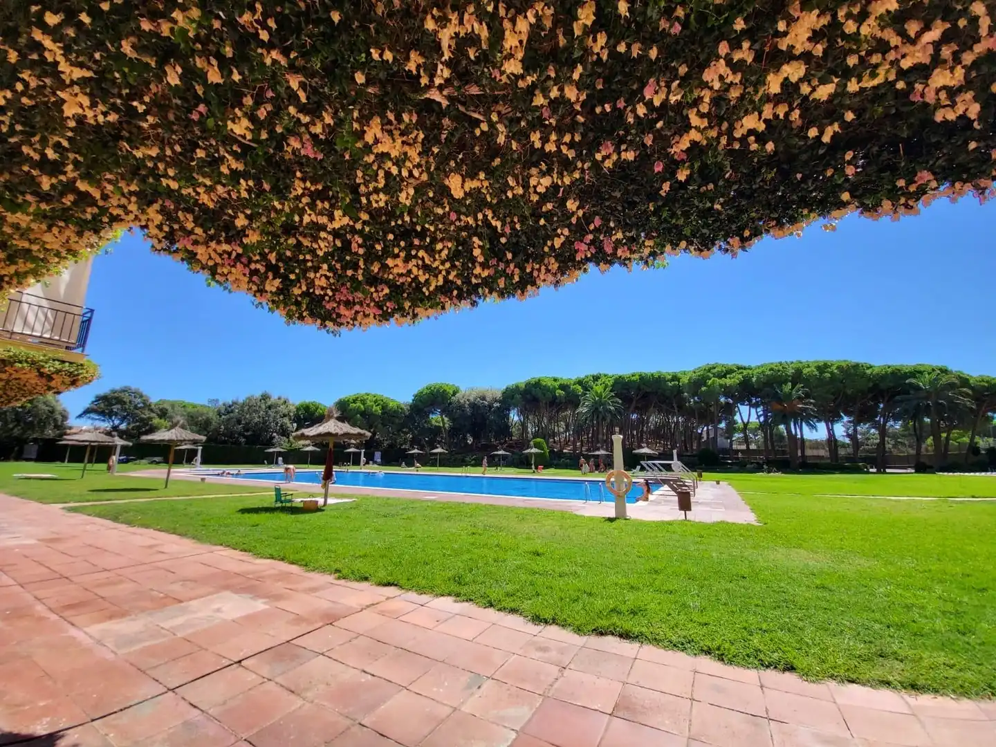 Piscina de Piso en venta en Palafrugell con Aire acondicionado, Calefacción y Jardín privado