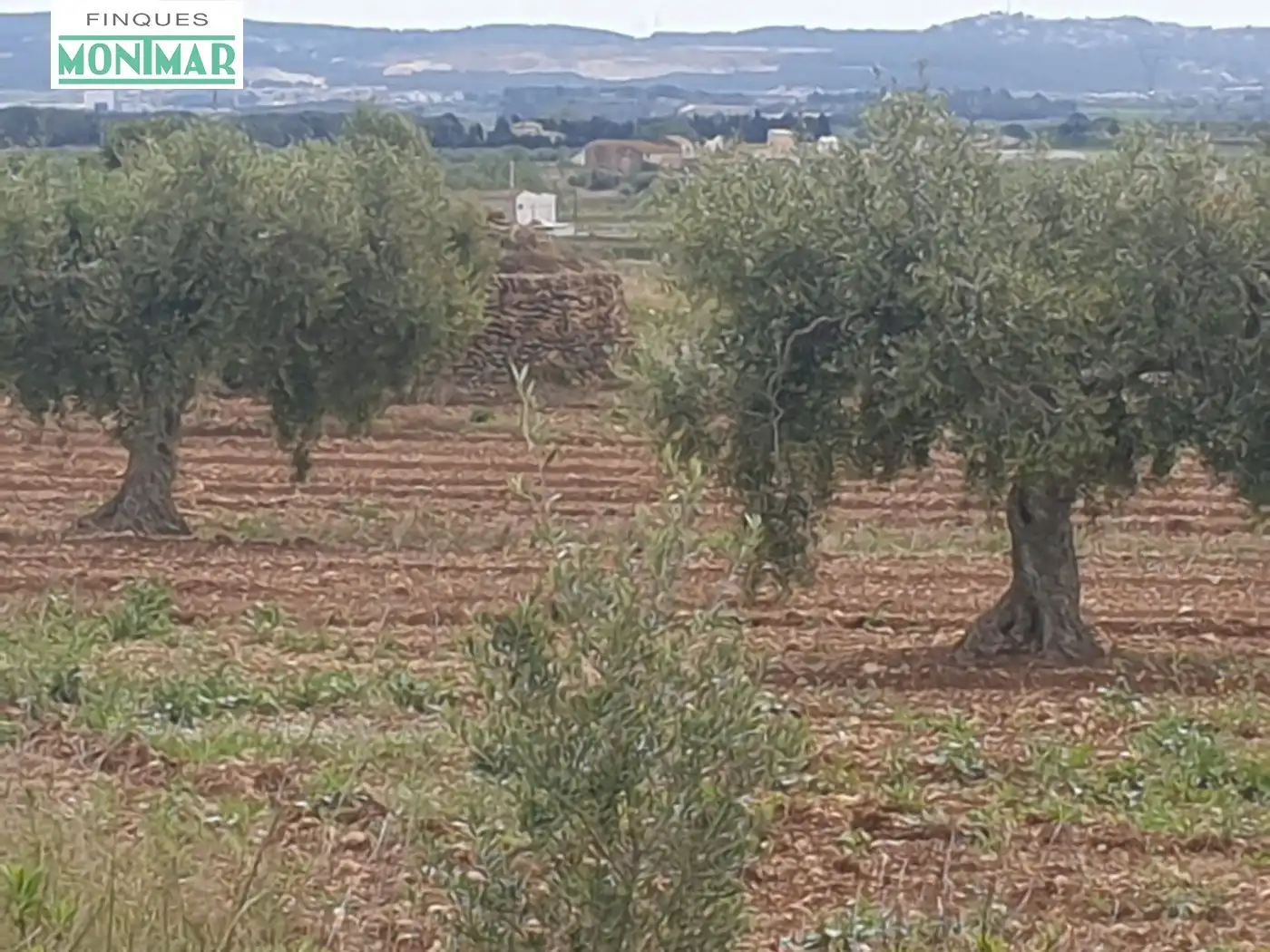 Casa rustica in vendita a Sant Jaume dels Domenys, imagen 15