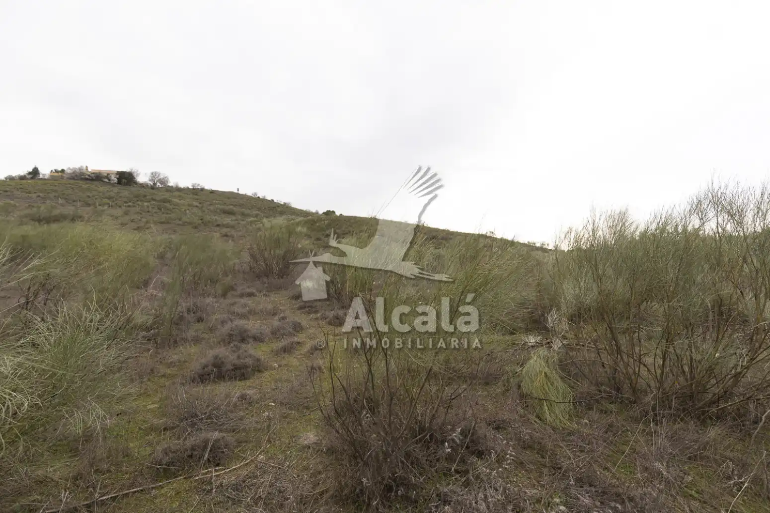 Terreny residencial en venda a Illana, imagen 40