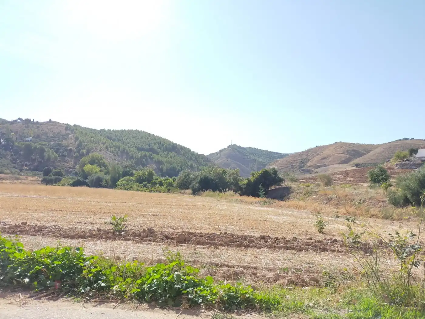 Terreni e lotti in vendita a Zona de la Vega
