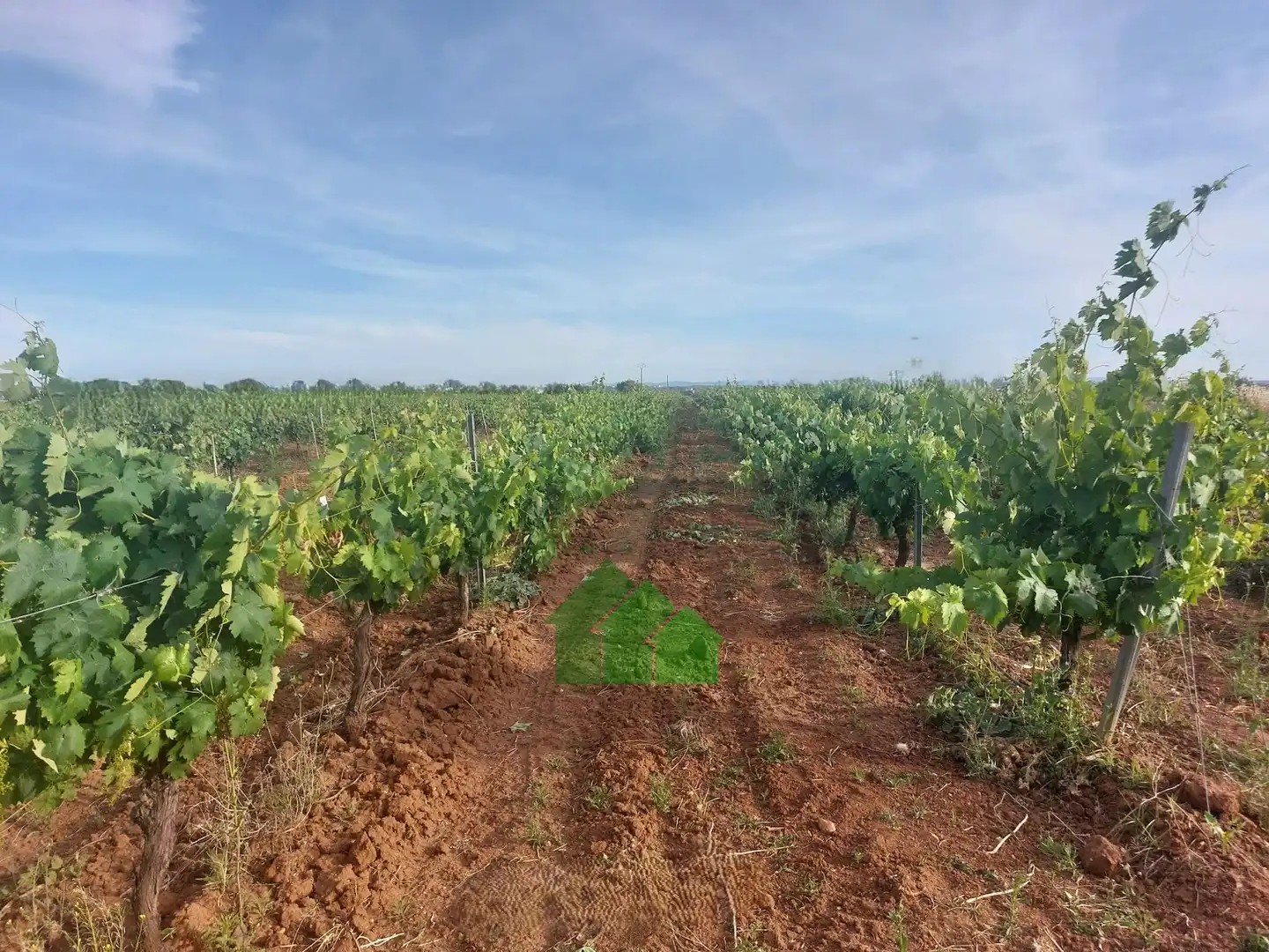 Terreni e lotti in vendita a Guadiana
