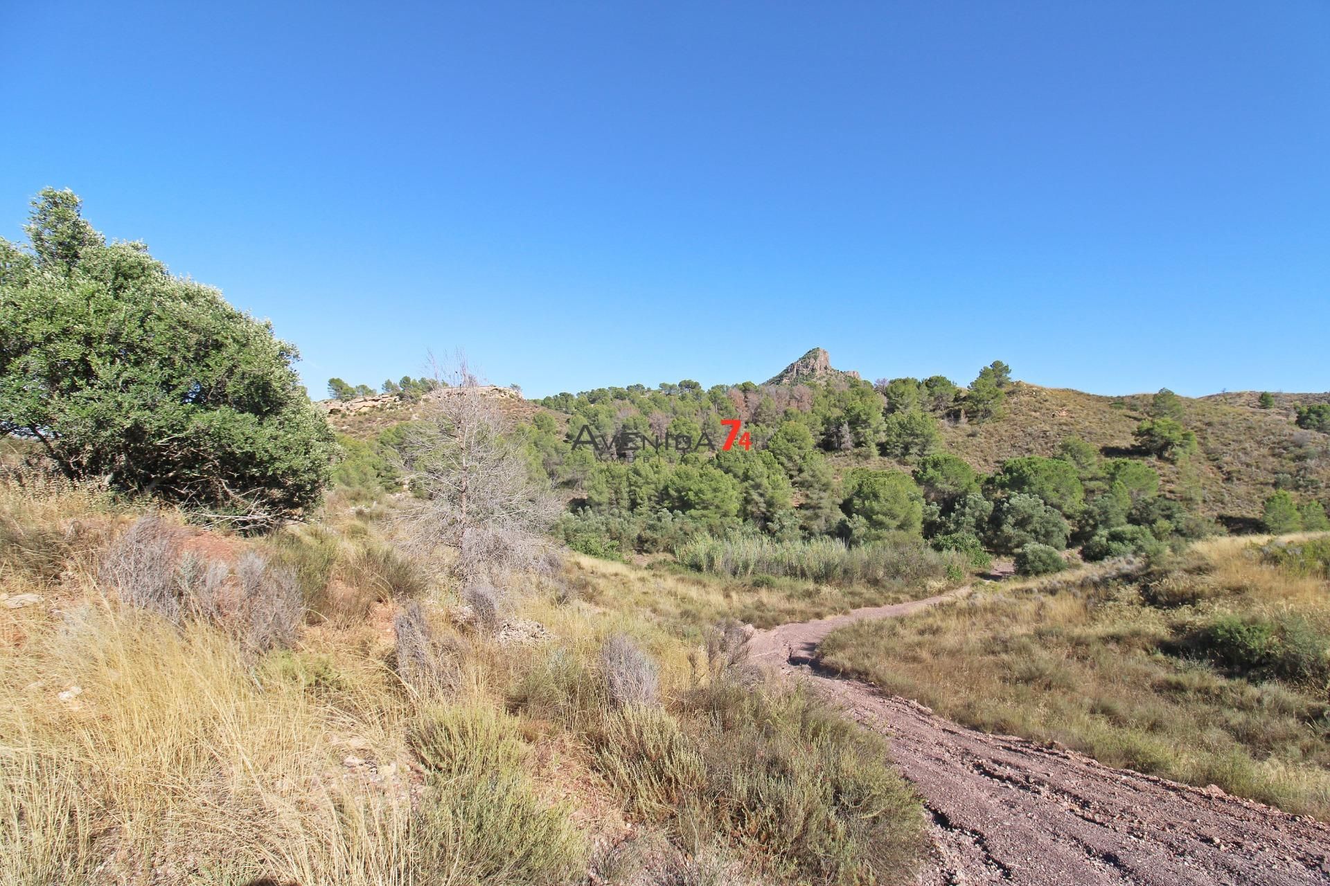 Finca rústica en venda en Lorca