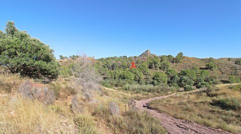 Photo 2 of Country homes for sale in Parrilla, Lorca