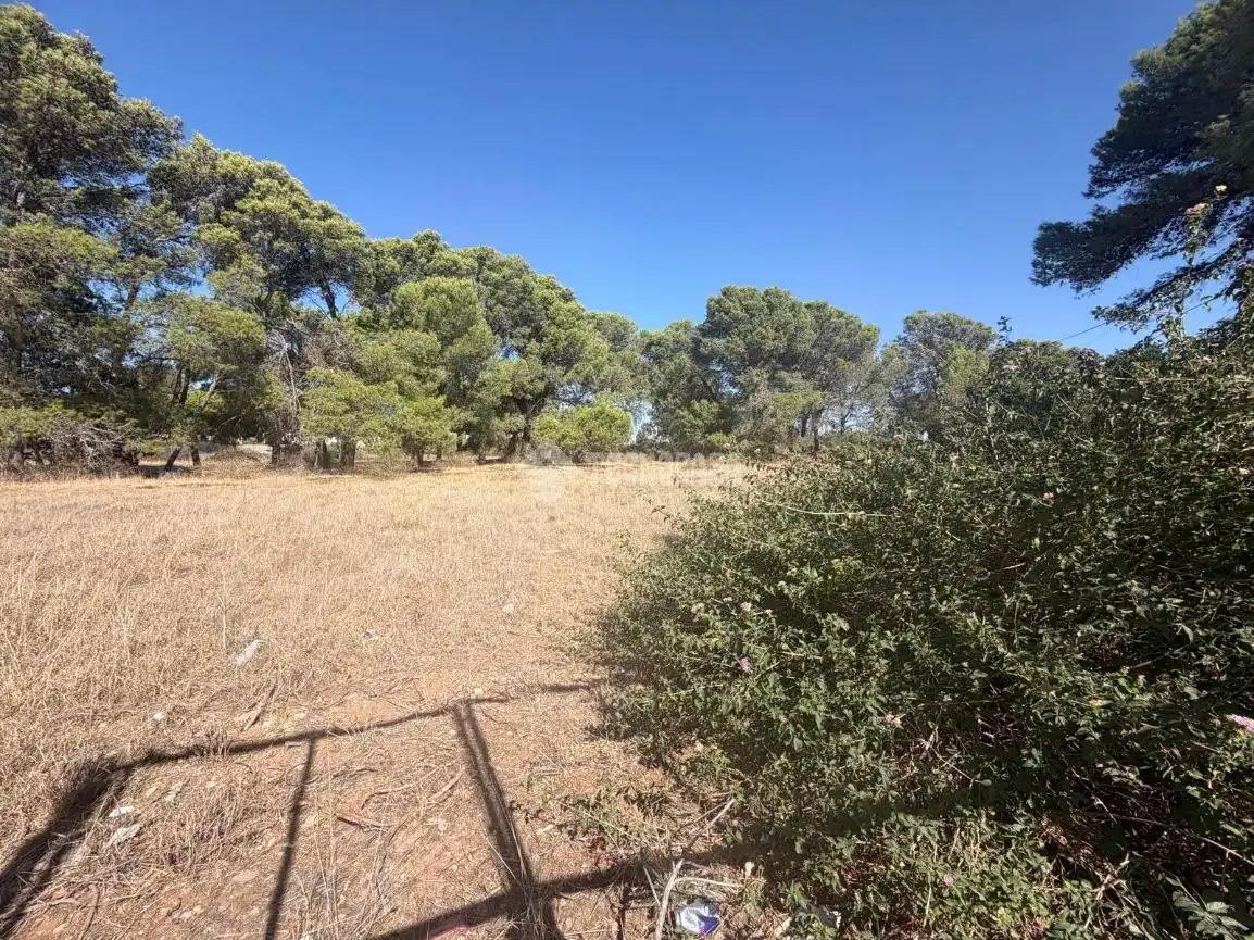 Terreny rústic en venda a Los Franceses – La Vega, imagen 6