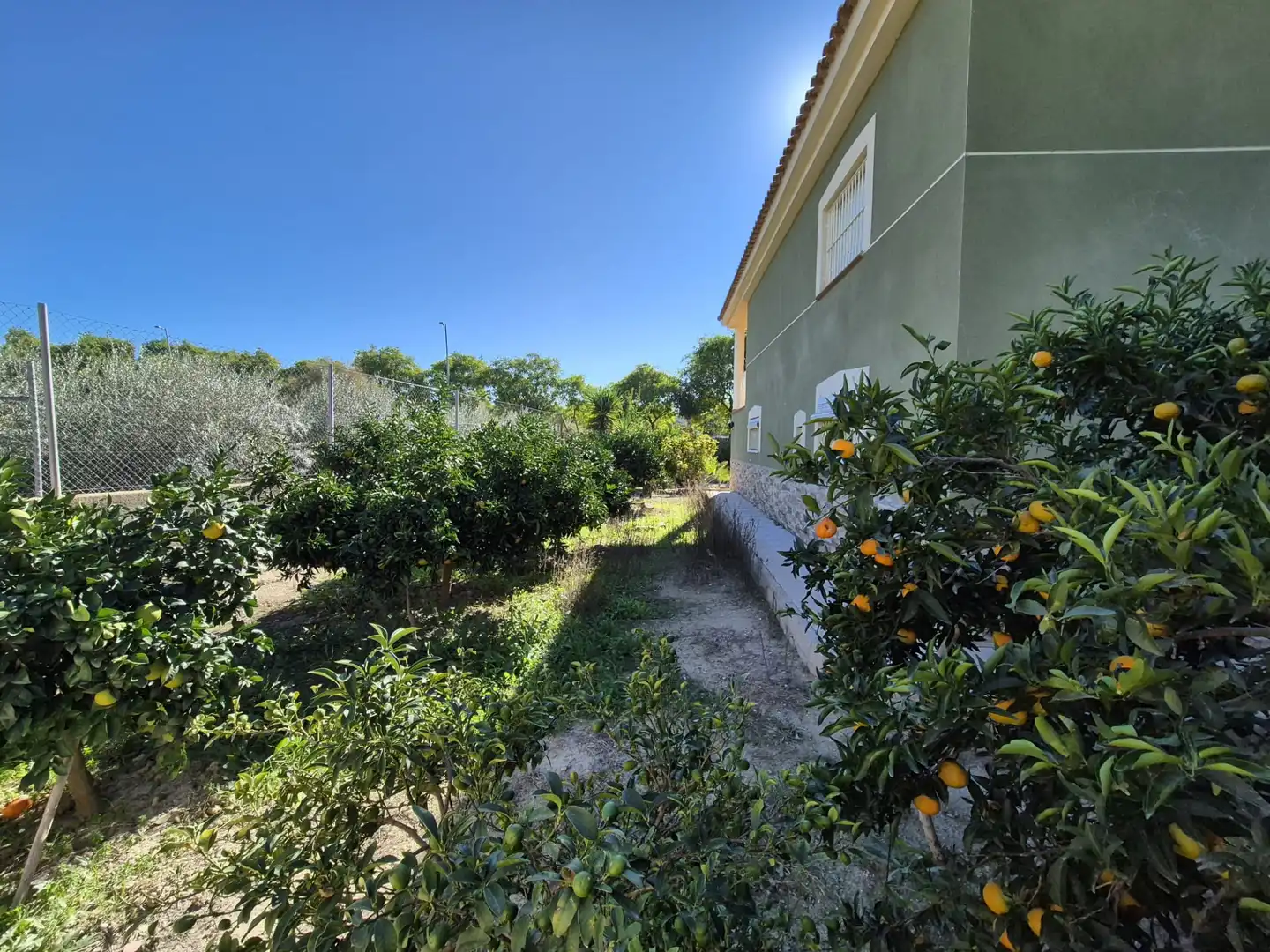 Jardí de Casa o xalet en venda en Albudeite amb Jardí privat, Terrassa i Moblat