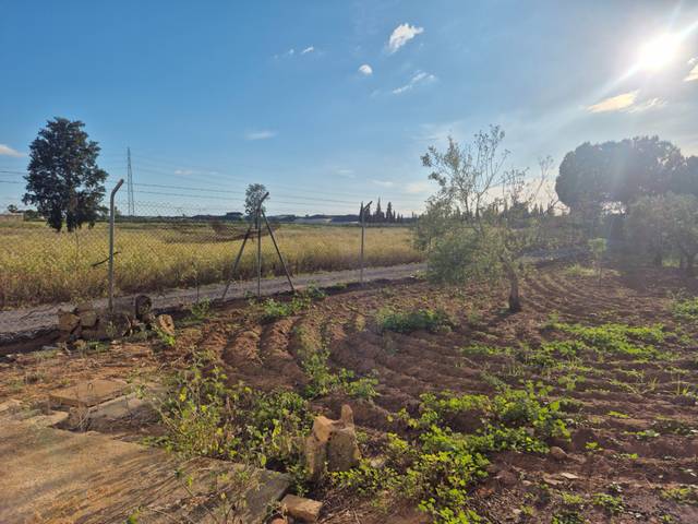 Terreno en Venta en Avenida María Auxiliadora, 40 en Torre Cruz - Los Molinos