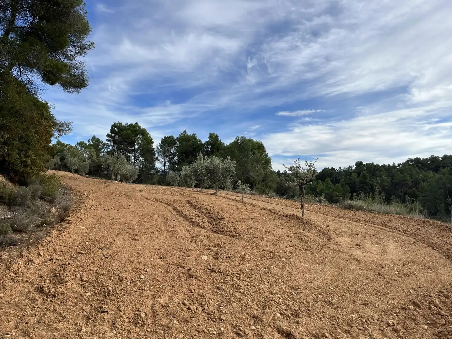 Terreni e lotti in vendita a Lledó, imagen 8