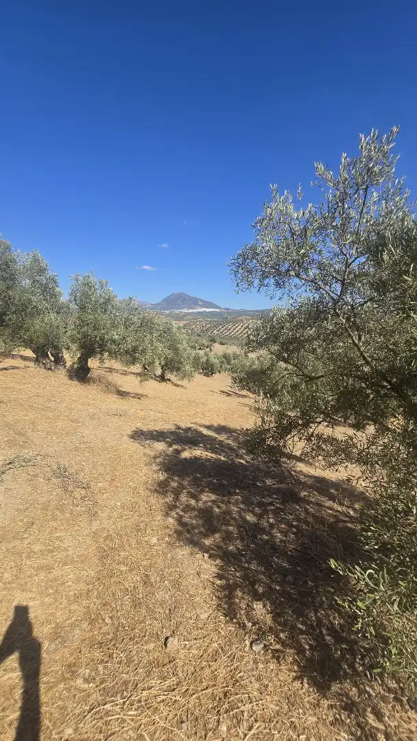 Terrain rustique à vendre à Las Vegas - Campoaras, imagen 11