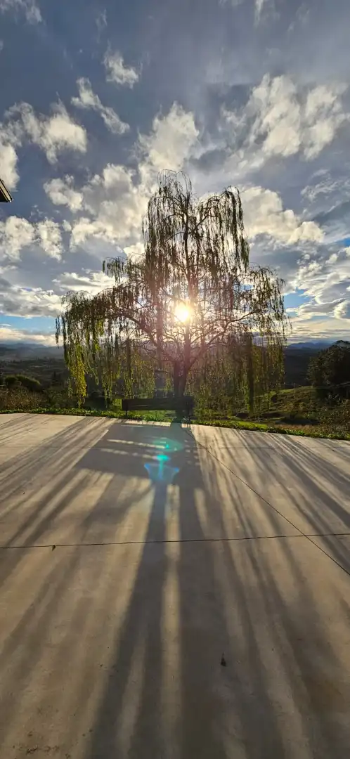 Vista exterior de Casa o xalet en venda en Oviedo  amb Aire condicionat, Calefacció i Jardí privat