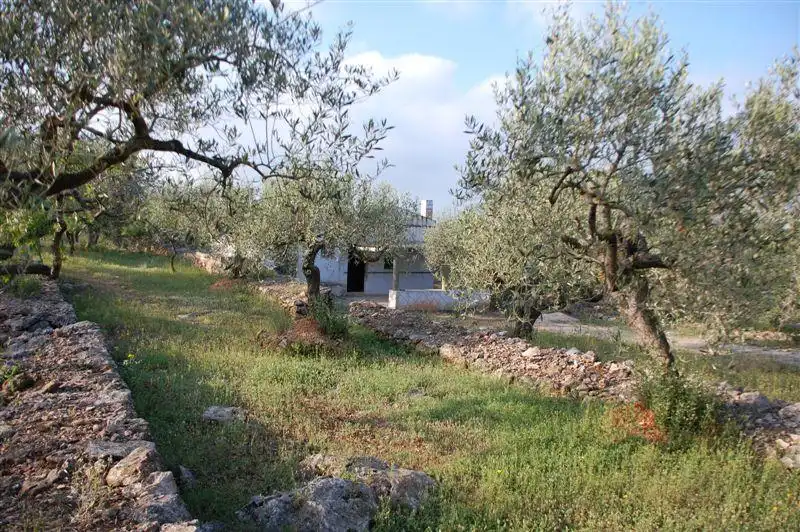 Finca rústica en venda en El Perelló