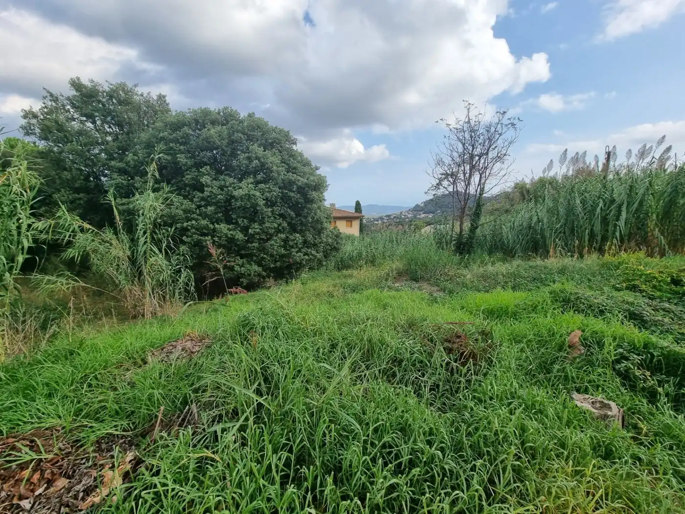 Lands and plots for sale in Calle BAGES, imagen 12