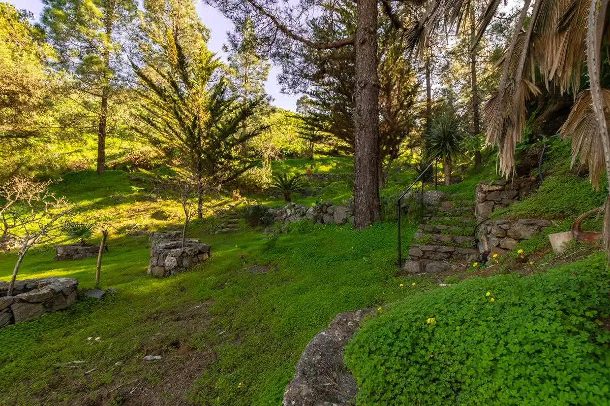 Jardí de Casa o xalet en venda en Telde amb Jardí privat