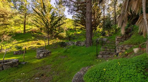 Foto 4 de Casa o xalet en venda a Valle de los Nueve - El Ejido - Medianías, Telde