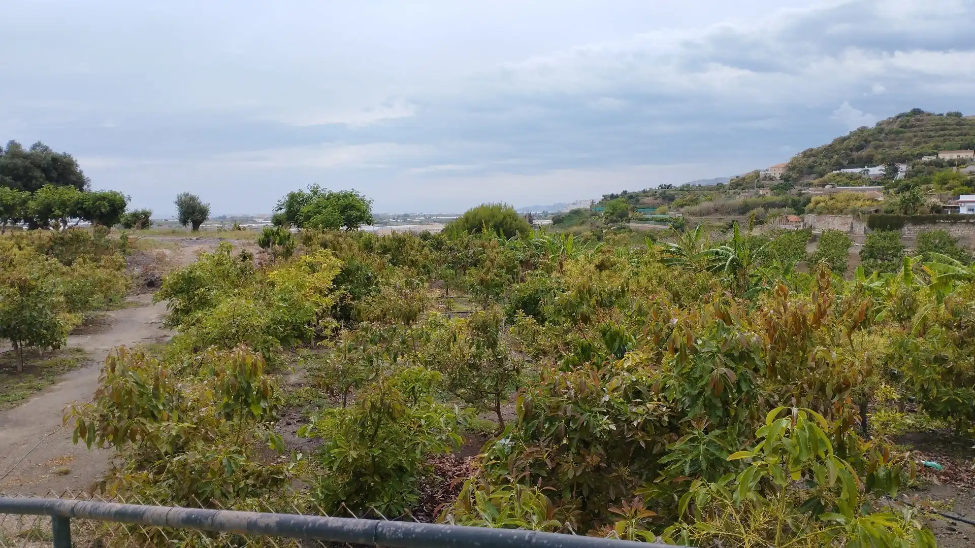 Fabrikhallen zum Verkauf in Motril