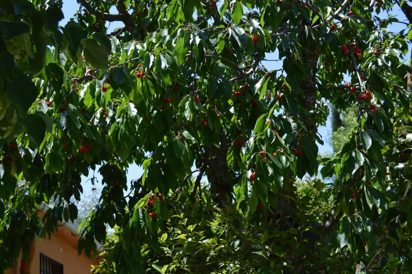 Casa o xalet en venda a LAS CARMELITAS, Tarancón
