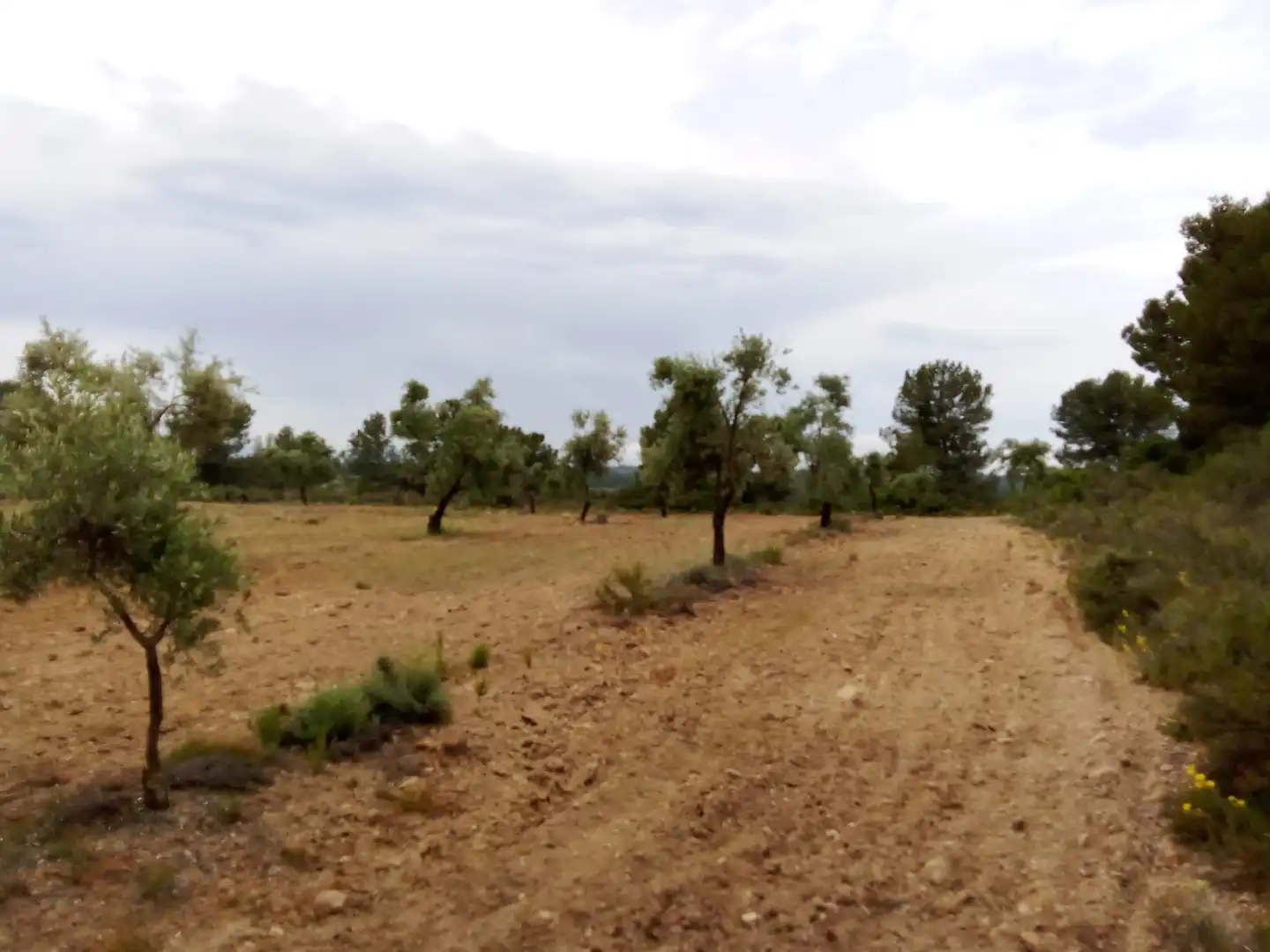 Terreni e lotti in vendita a Arens de Lledó, imagen 4