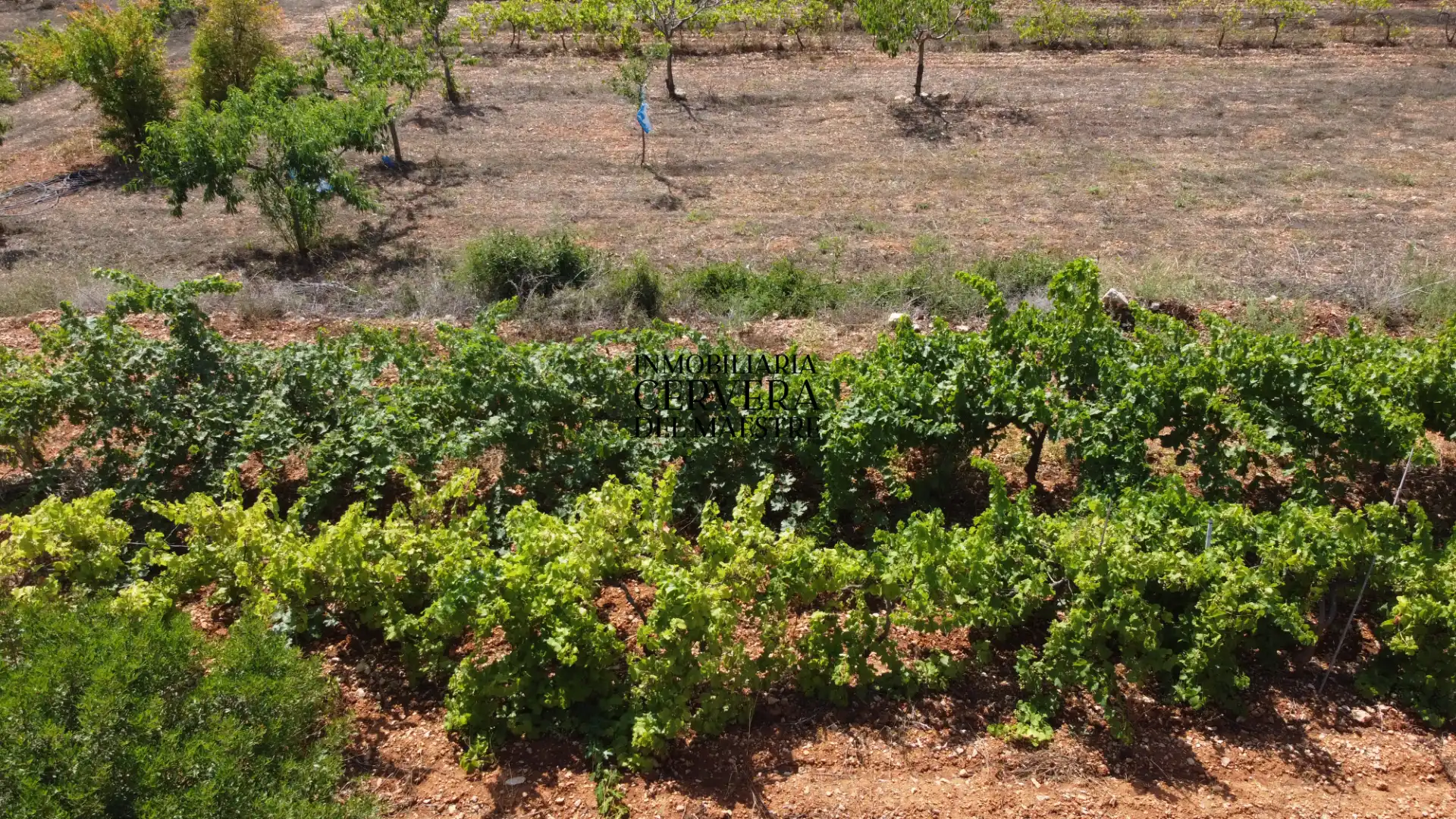 Terreno rustico in vendita a Cervera del Maestre, imagen 14