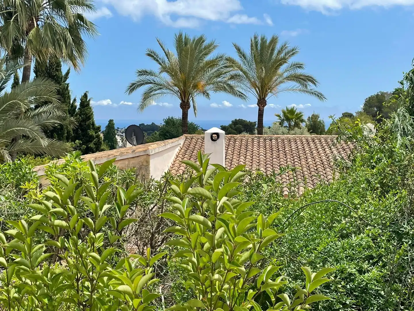 Maison avec piscine à vendre à Cala Advocat - Baladrar, imagen 31