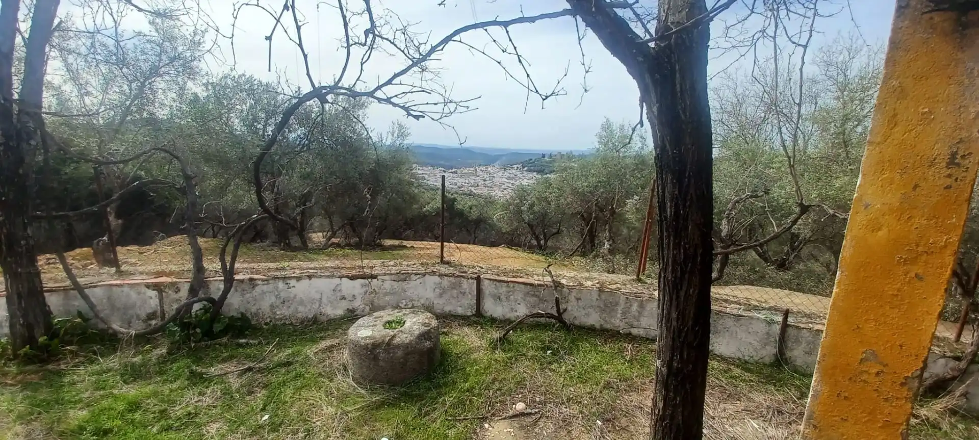 Terreni e lotti in vendita a Constantina, imagen 34