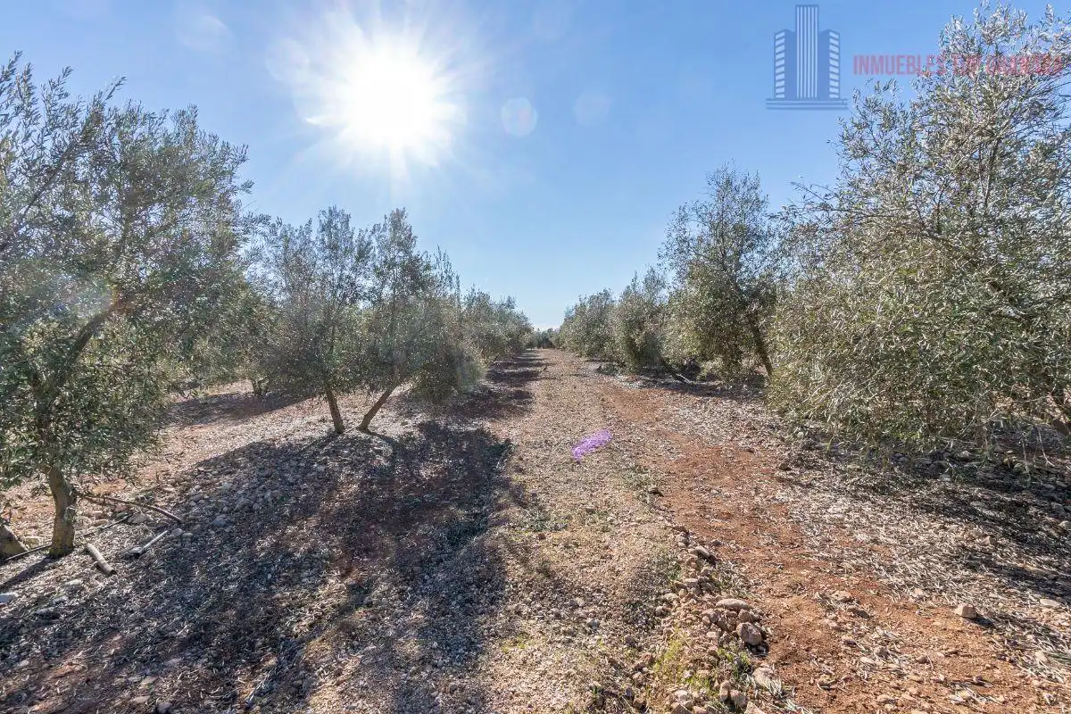 Terreni e lotti in vendita a Pago cortijo de las Monjas Parcela 19, imagen 8
