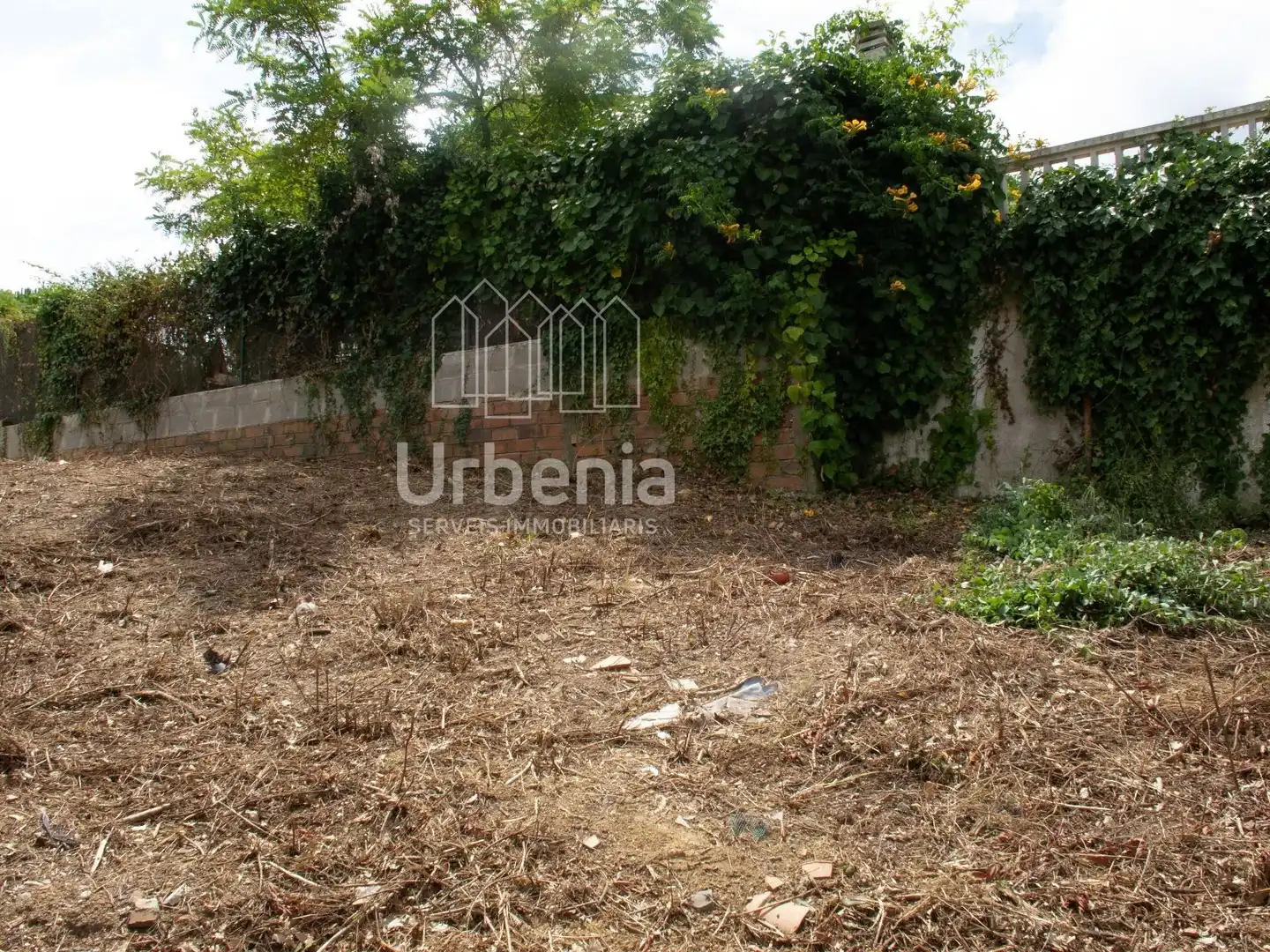 Rural land for sale in Maçanet de la Selva pueblo, imagen 4
