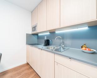 Cuina de Apartament de lloguer en Donostia - San Sebastián  amb Moblat i Es permeten mascotes