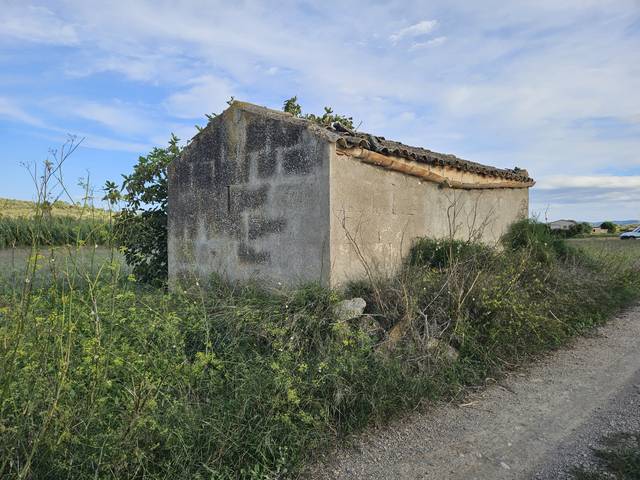 Terreno en Venta en Petra