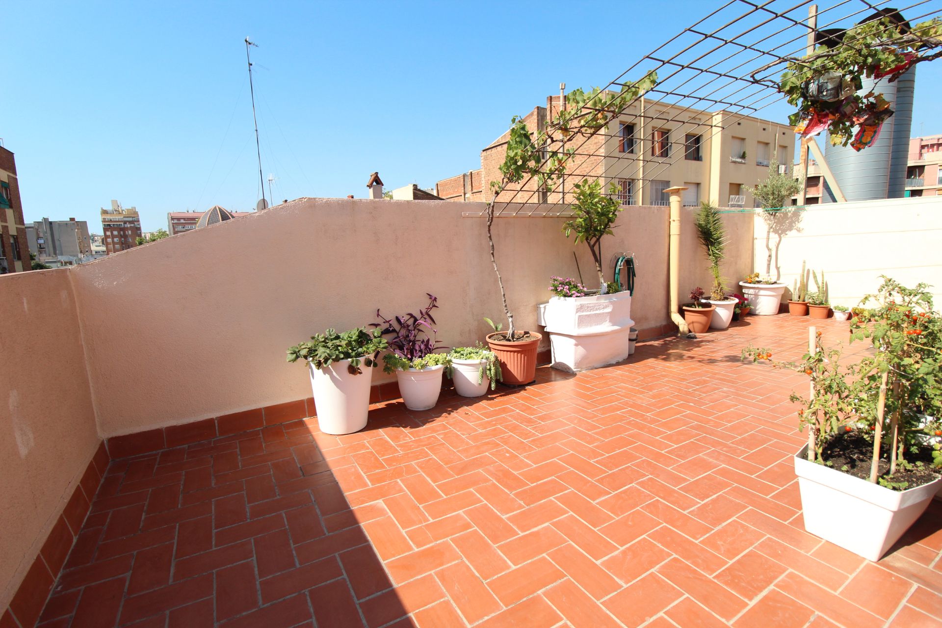 House or chalet for sale in Sant Andreu de Palomar