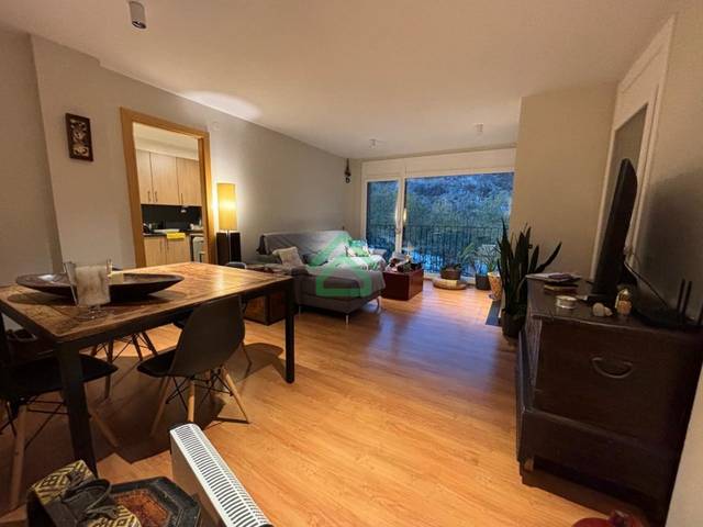 Piso en Venta en Carretera del Coll d'Ordino en Coll d'Ordino