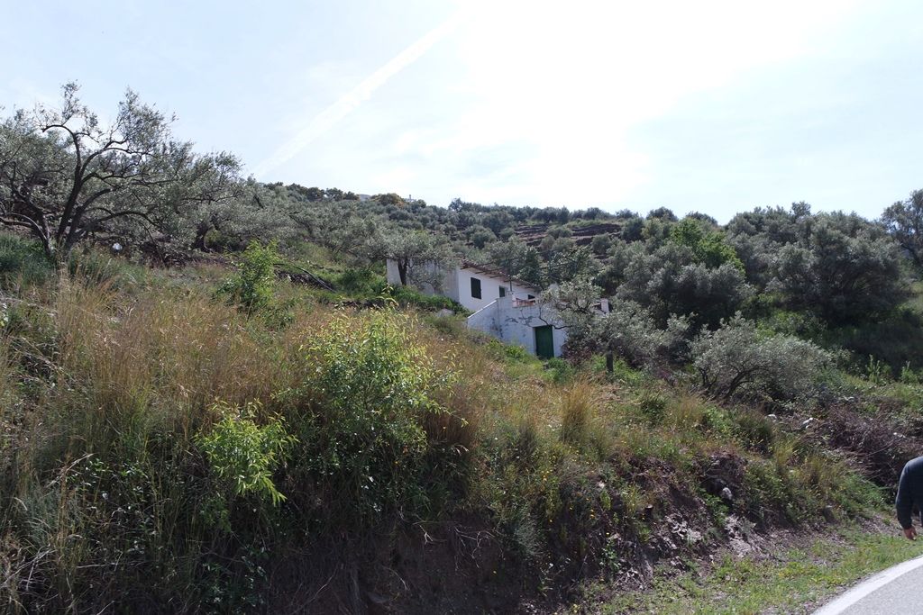 Finca rústica en venda en Torrox