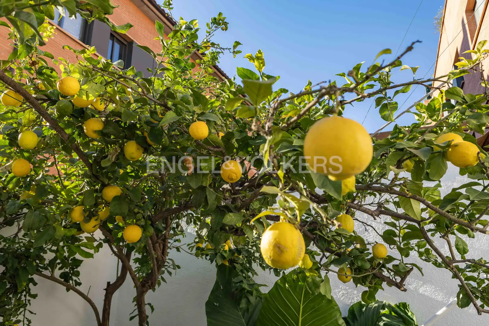 Jardín de Casa o chalet en venta en El Prat de Llobregat con Aire acondicionado, Calefacción y Jardín privado